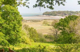 Stylish cottage in Bembridge - Foto 18