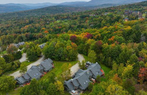 Ski-in Condo with Hot Tub on Burke Mtn Slopes! - Foto 44