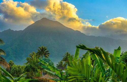 Ohana Kamalani - Foto 35