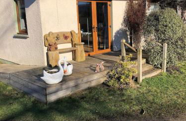 The Granny Anne xe - Photo 8