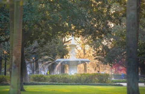 Lynwood Collection on Forsyth 6A by Lucky Savannah - Foto 38