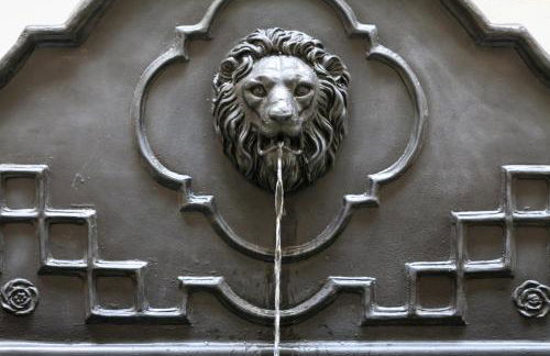 Tomas Ibarra Pool & Luxury - Foto 12