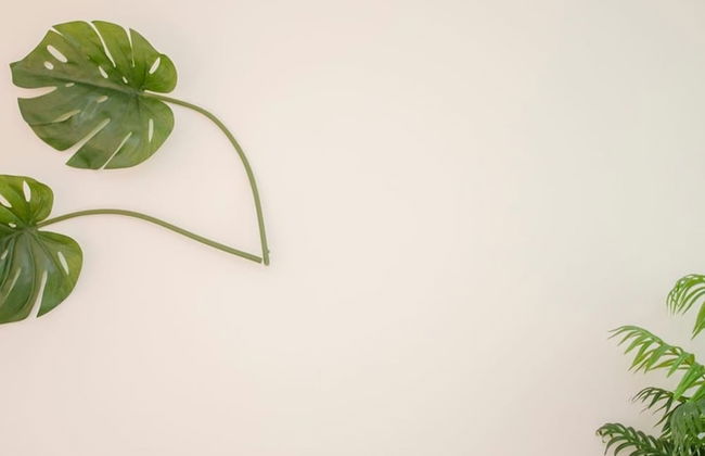 Liiiving in Porto - Boho Blue Home - Foto 28