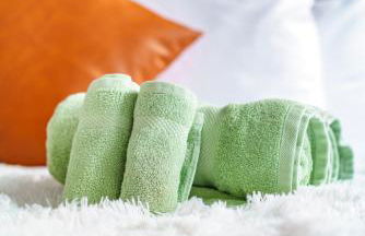 Jungle House Columbus Short North Downtown Free Parking - Steps to Convention Center & Nationwide Arena - 2BR Luxury Home - Sleeps 8 - Over 5,800 Five Star Stays - Foto 55