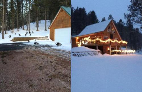 Rustic Pet-Friendly Cabin with Private Deck near Newcastle, Wyoming - Foto 1