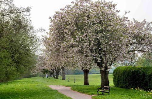 2 Bed in Battle BN077 - Photo 13