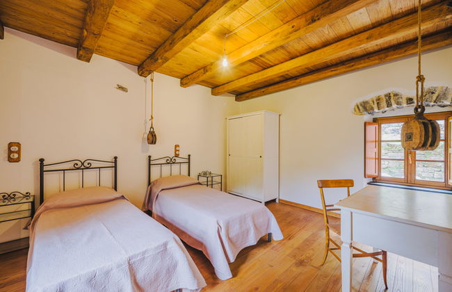 Vermentino - Foto 17