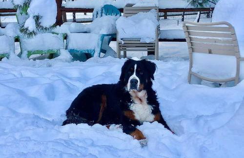 Beautiful Log home outside of Sisters - Foto 26