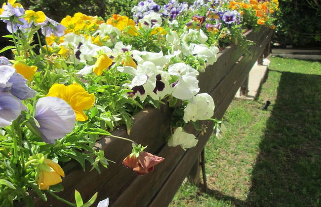 Nomi Suites - Foto 16