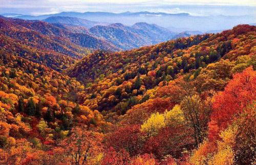 Gite l'Or des Cévennes - Foto 15