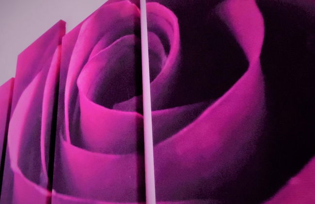 Stanefield House Motherwell - Photo 37