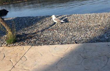 Glyfada's Family Apartment - Photo 49