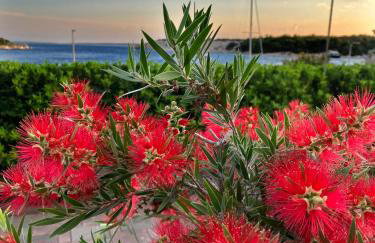 Olive House - Foto 68