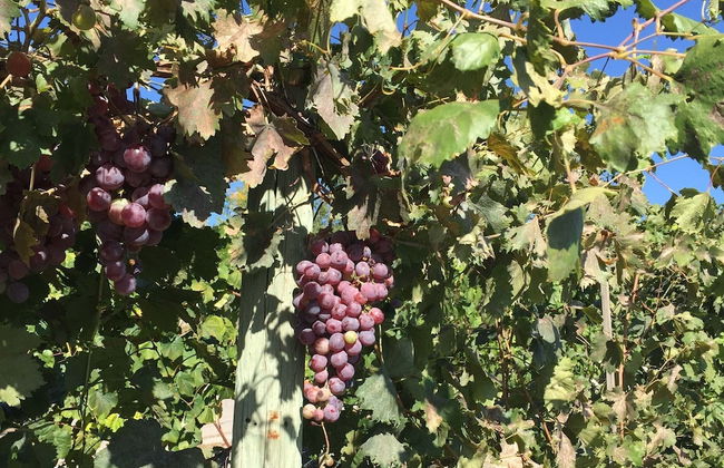 Seaside House 2 Double Bedrooms With Spectacular Mountain Sea View - Foto 17