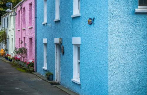 Calebs Cottage- Solva harbour - Photo 49