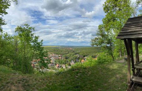 Le petit Palais - Apartments - Foto 55