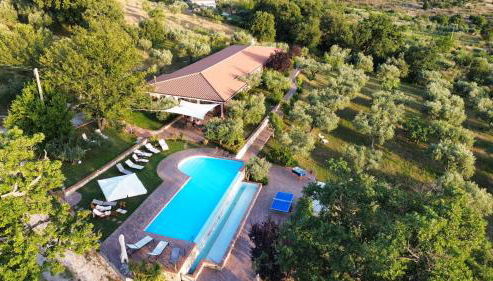 Azienda Agricola Passaro - Photo 4