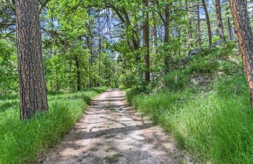 Grizzly Gulch Cabin Historic - Foto 18