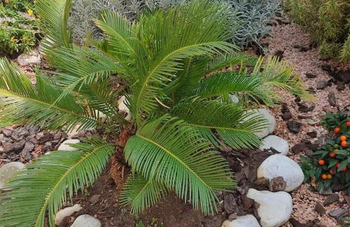 La Brughiera - Foto 20