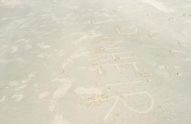 Pinheira Beach Residence - Foto 42