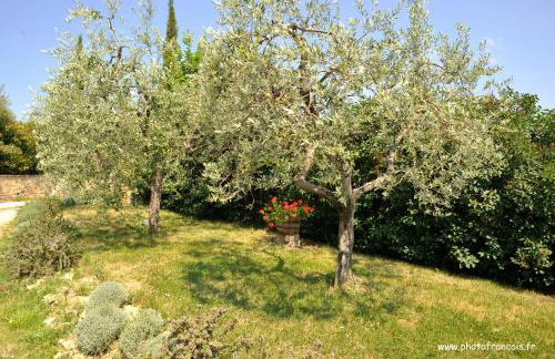 Agriturismo Il Sasso - Foto 11