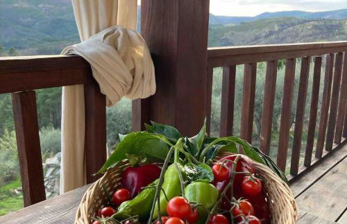 Casas na montanha vistas fantásticas com piscina - Foto 32