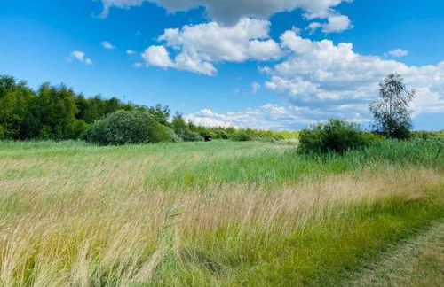 Ferienhaus am Seegrund - Foto 31