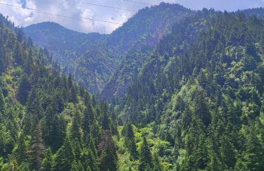 Heart of Proussos - Photo 12