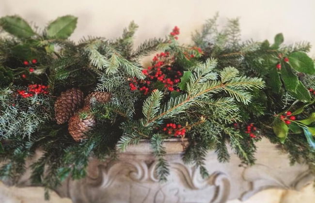 Palazzo Gatteschi - Photo 27