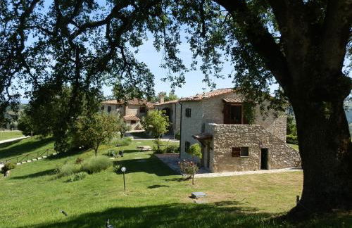 Sasseta Alta - Foto 18