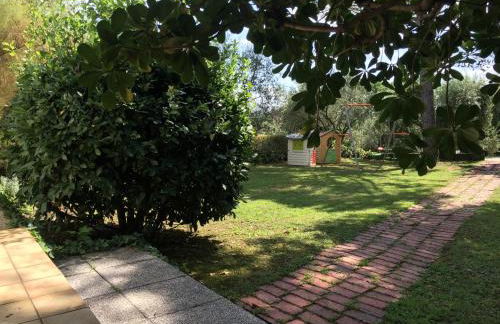 La Pichioline - Foto 39