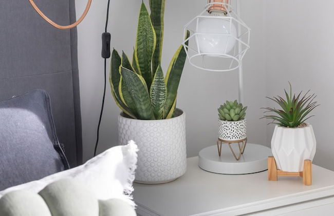 Wilanow for 3 People by Renters - Foto 47