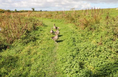 Saddlers Cottage, Berllandeg Farm - Foto 28