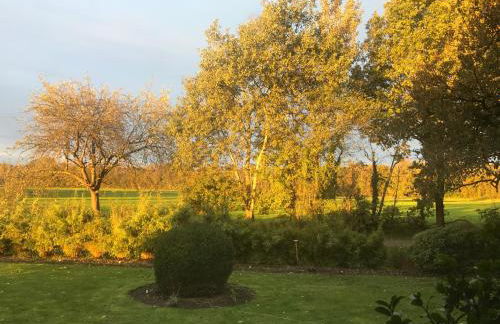 Ferienwohnung am Komisenpad - Foto 16