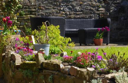 East Titchberry Cottage - Thatched cottage charm in rural North Devon - Foto 12