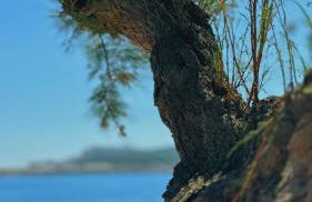 CAN ROMY APPARTEMENT T3 B - à 20m de la plage de Cala Montgo - Foto 21