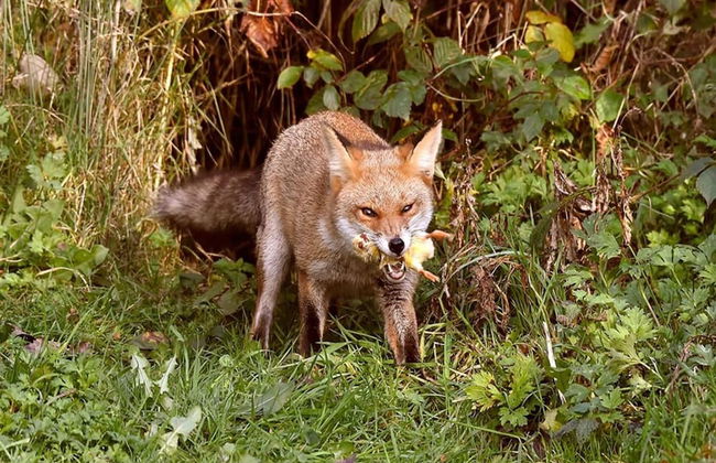 Peaceful Holiday Home in Lemele - Photo 34