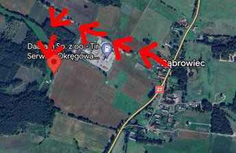 Leśny Dworek - Foto 33