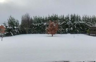 Casa El Rasillo - Foto 50