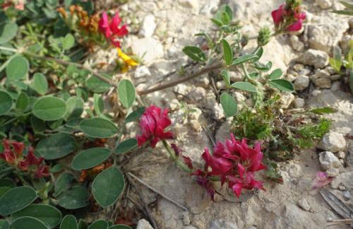 Agriturismo Baglio San Nicola - Foto 98