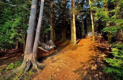 Hammock Haven Island Dome - Foto 15