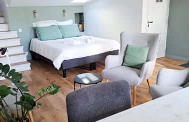 La porte Bleue - appartement juste rénové - très propre - grand confort - lumineux - calme - centre historique - Foto 21