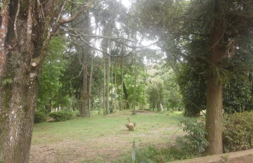 Sitio Primavera Ibiúna - Photo 69