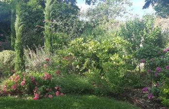 La Petardière - Foto 35