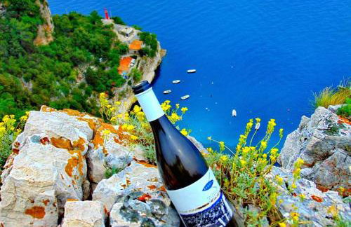 Studio-Apartman-Diana - Foto 5