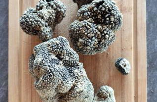 La casa dei nonni - Foto 20