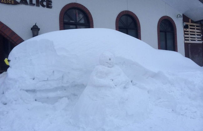 Rental Lodge WHITE RABBIT Madarao kogen Cottage ALICE - Photo 12