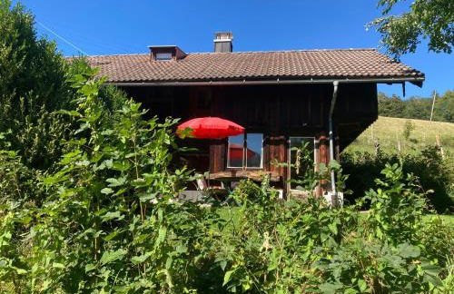 Berghütterl - Ferienhaus Ingerlhof - Foto 2