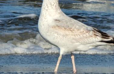 Harbor Island D112 - Foto 18