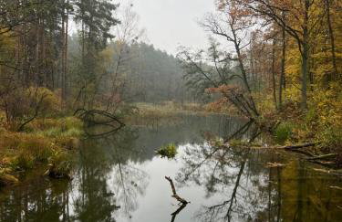 APARTAMENT CENTRUM - Foto 16